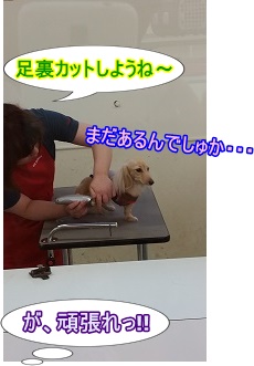 足裏カット