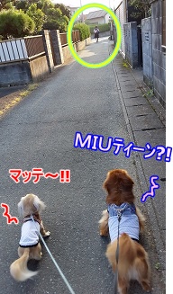 MIUティーン?!