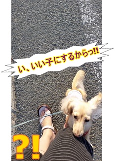 良い子にするから!