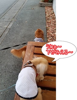 バス停