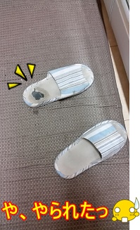 無念・・・