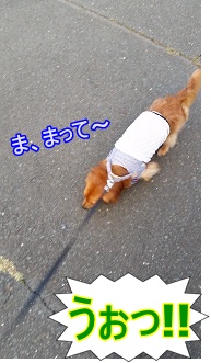 まって~~