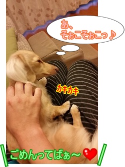 あ、そこそこ♪