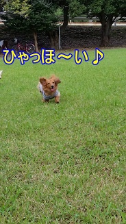 公園