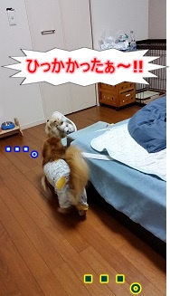 ひっかかった~
