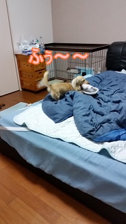 ふぅ~