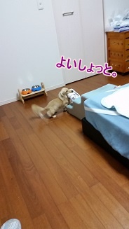 よいしょっと