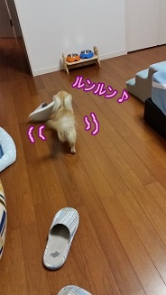 ルンルン♪