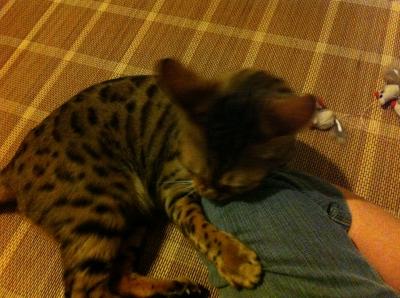 7_20110915140113.jpg