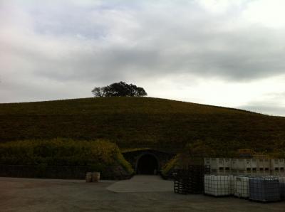 S3_20111115152648.jpg