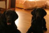 IMG_7277222.jpg