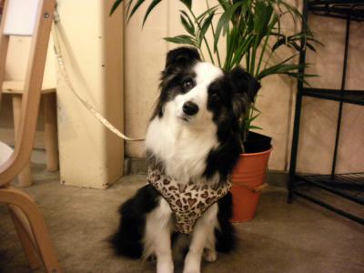 003_convert_20130330231450.jpg