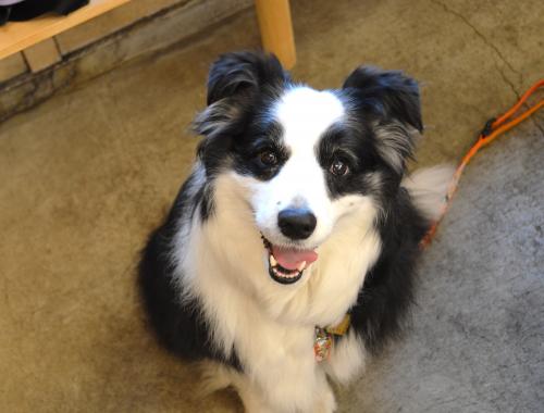 006_convert_20130530220116.jpg