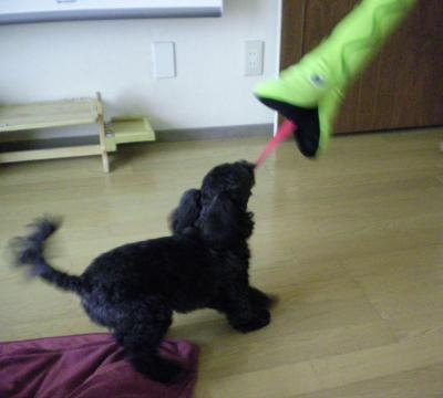 007_convert_20130515211457.jpg