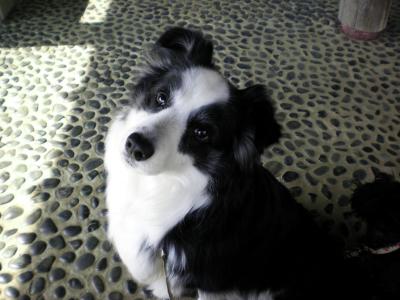 009_convert_20130307195209.jpg