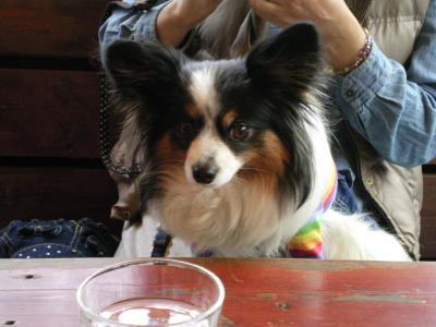 009_convert_20130328210114.jpg