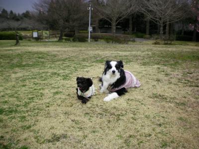 010_convert_20130318171933.jpg