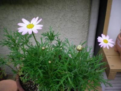 010_convert_20130419223412.jpg
