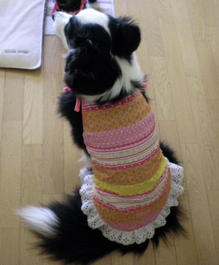 010_convert_20130518161909.jpg