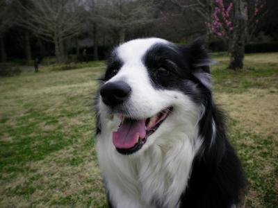 012_convert_20130318172107.jpg