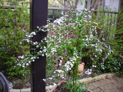 013_convert_20130317170851.jpg