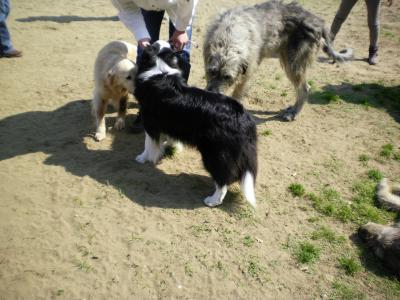 013_convert_20130505182817.jpg