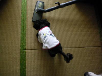 014_convert_20130501204641.jpg