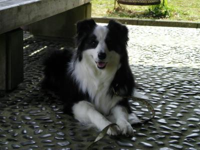 016_convert_20130307195509.jpg