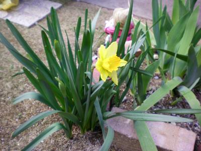 016_convert_20130321191319.jpg