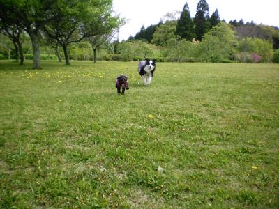 016_convert_20130418185540.jpg
