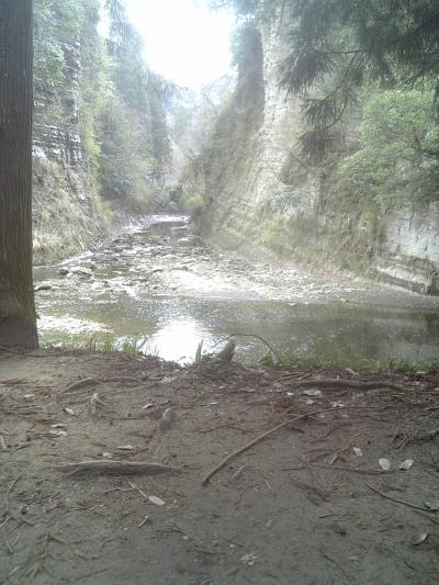 018_convert_20130324173649.jpg