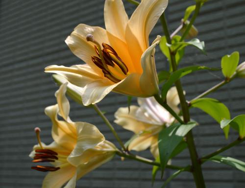 018_convert_20130630125401.jpg
