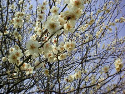 020_convert_20130307195641.jpg