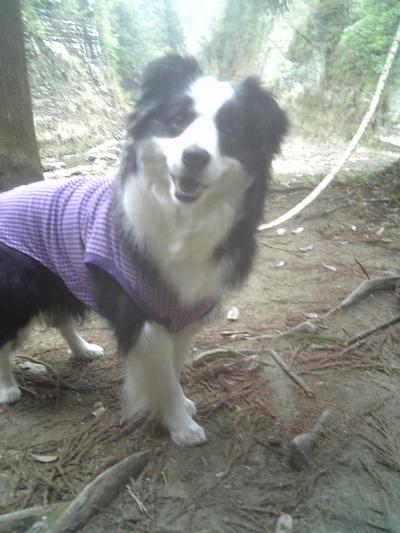 020_convert_20130324173803.jpg