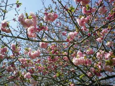 020_convert_20130404195958.jpg