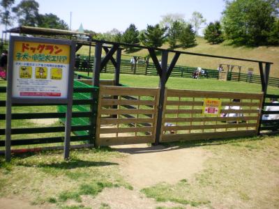 020_convert_20130429151925.jpg