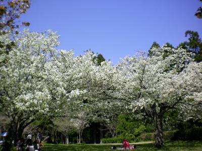 024_convert_20130404200202.jpg