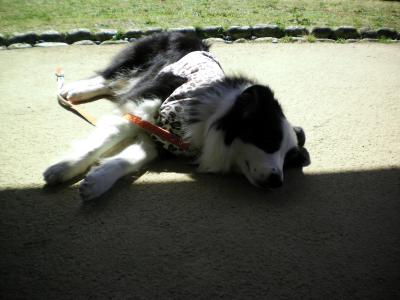 027_convert_20130311185254.jpg