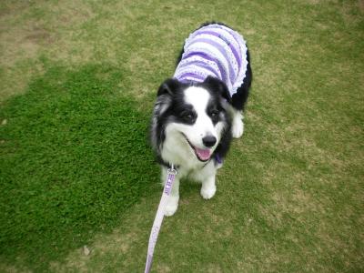 029_convert_20130513185236.jpg