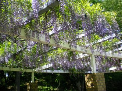 032_convert_20130506171903.jpg