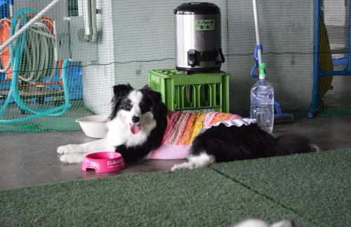 034_convert_20130722200132.jpg