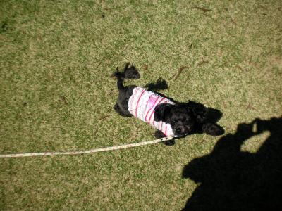 035_convert_20130408192126.jpg