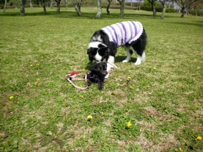 037_convert_20130404210638.jpg