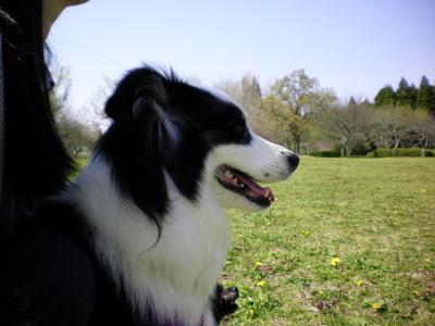 039_convert_20130404200621.jpg