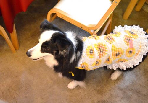 040_convert_20130718210635.jpg