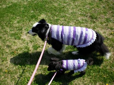 041_convert_20130404200722.jpg