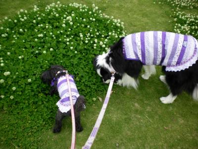 041_convert_20130513185505.jpg