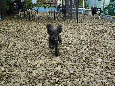 044_convert_20130427211531.jpg
