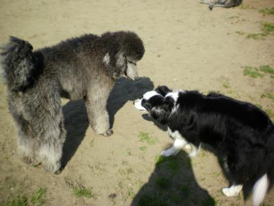 045_convert_20130505183422.jpg