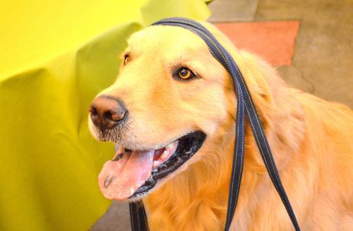 049_convert_20130718210724.jpg